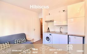 Les Hibiscus